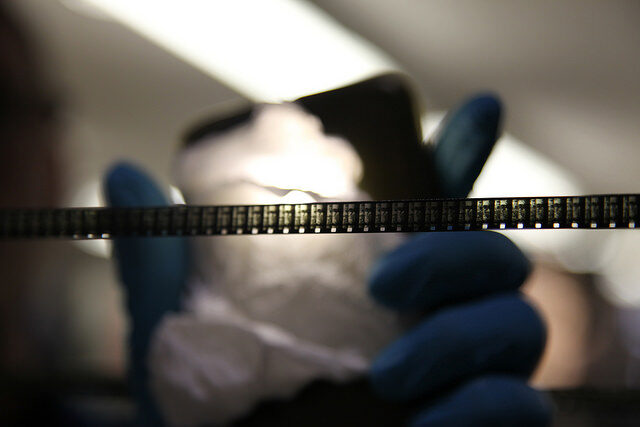 A roll of film unwound; behind it a blue gloved hand holds a tool.